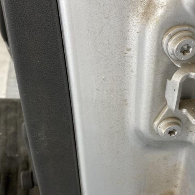Porte arriere gauche SKODA FABIA 2 Photo n°5