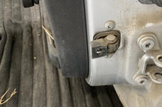 Porte arriere gauche SKODA FABIA 2