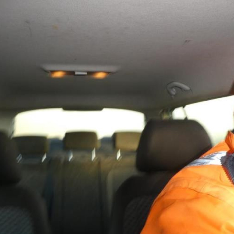 Porte arriere gauche SKODA FABIA 2 Photo n°16