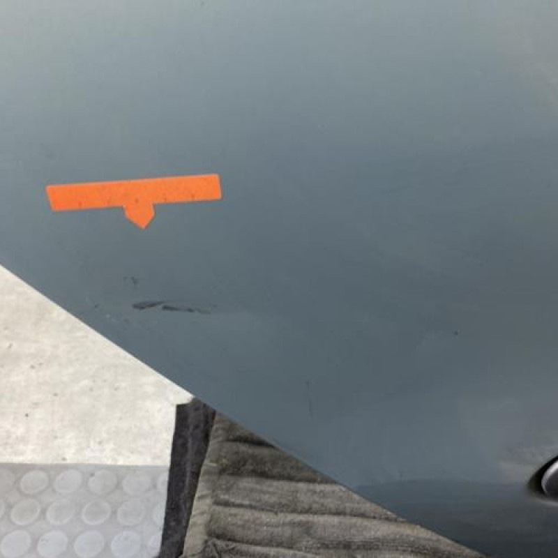 Porte arriere droit RENAULT SCENIC 1 Photo n°3