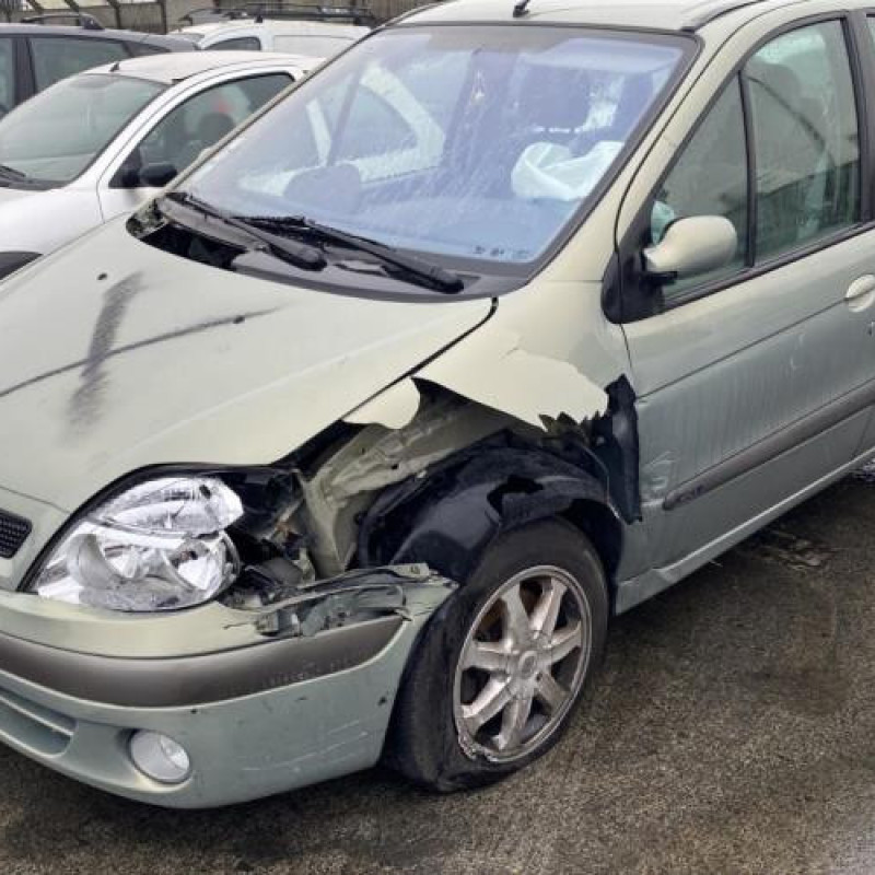 Porte arriere droit RENAULT SCENIC 1 Photo n°8
