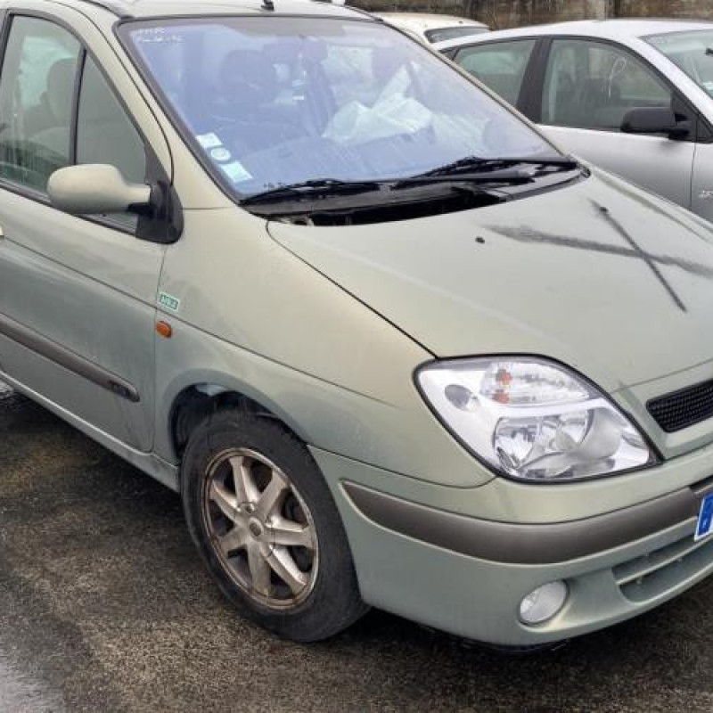 Porte arriere droit RENAULT SCENIC 1 Photo n°9