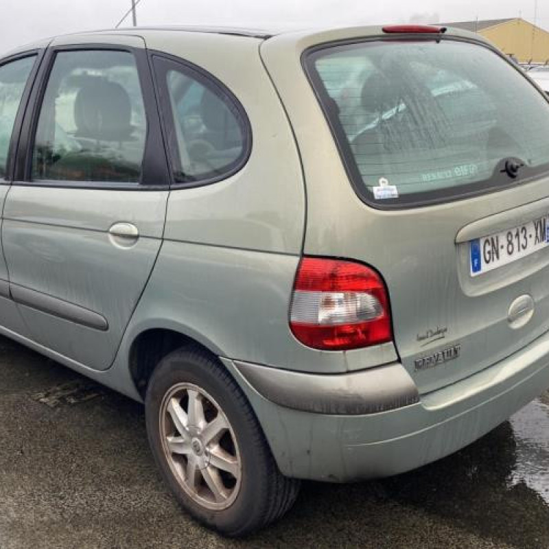 Porte arriere droit RENAULT SCENIC 1 Photo n°11