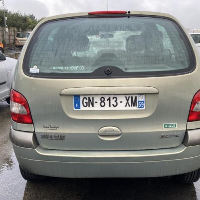 Porte arriere droit RENAULT SCENIC 1 Photo n°12