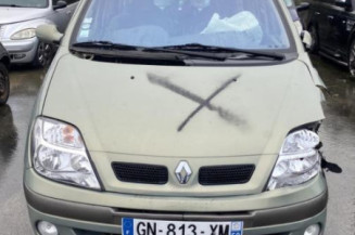 Porte arriere droit RENAULT SCENIC 1