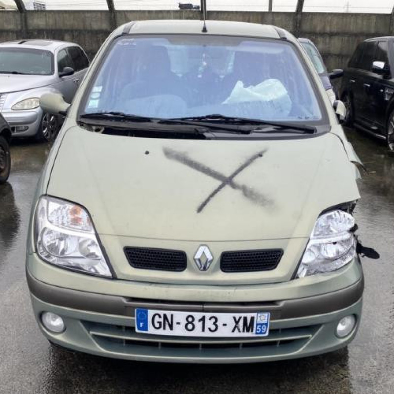 Porte arriere droit RENAULT SCENIC 1 Photo n°15