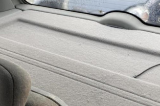 Porte arriere droit RENAULT SCENIC 1
