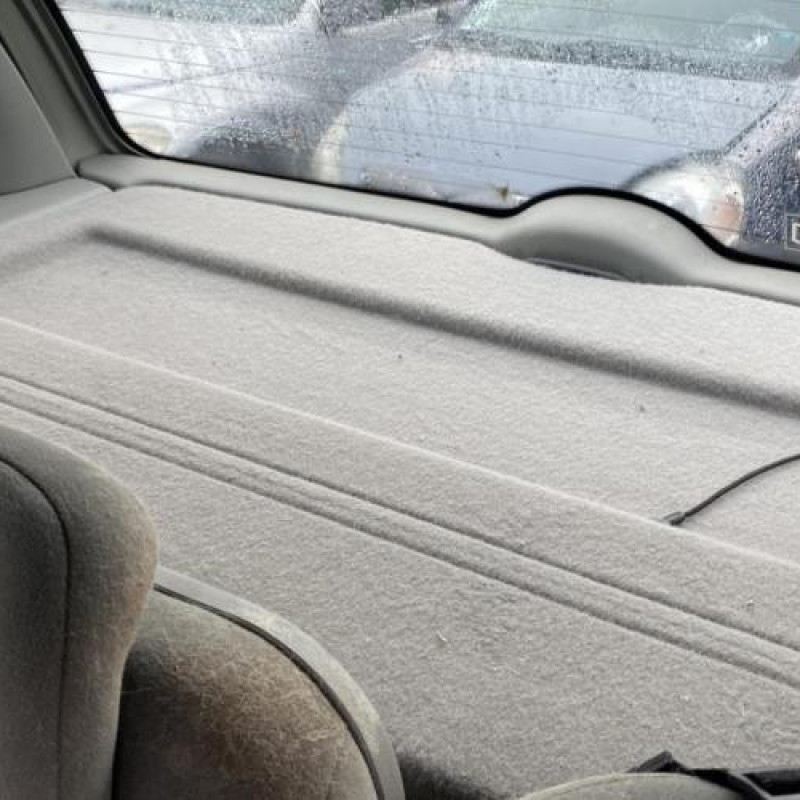 Porte arriere droit RENAULT SCENIC 1 Photo n°19