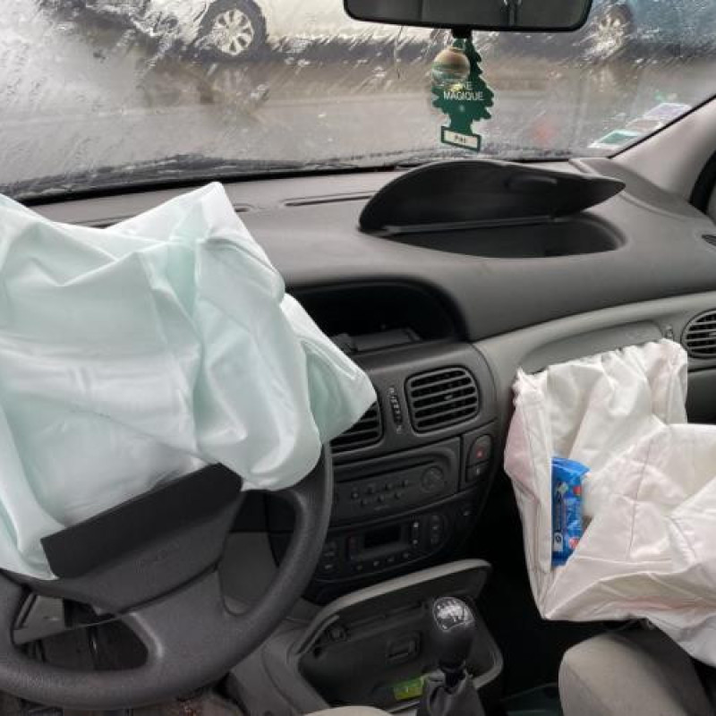 Porte arriere droit RENAULT SCENIC 1 Photo n°20