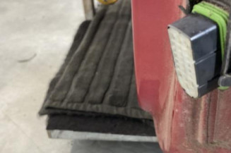 Porte avant gauche RENAULT CLIO 2
