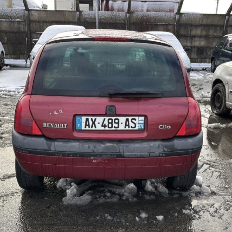 Porte avant gauche RENAULT CLIO 2 Photo n°11