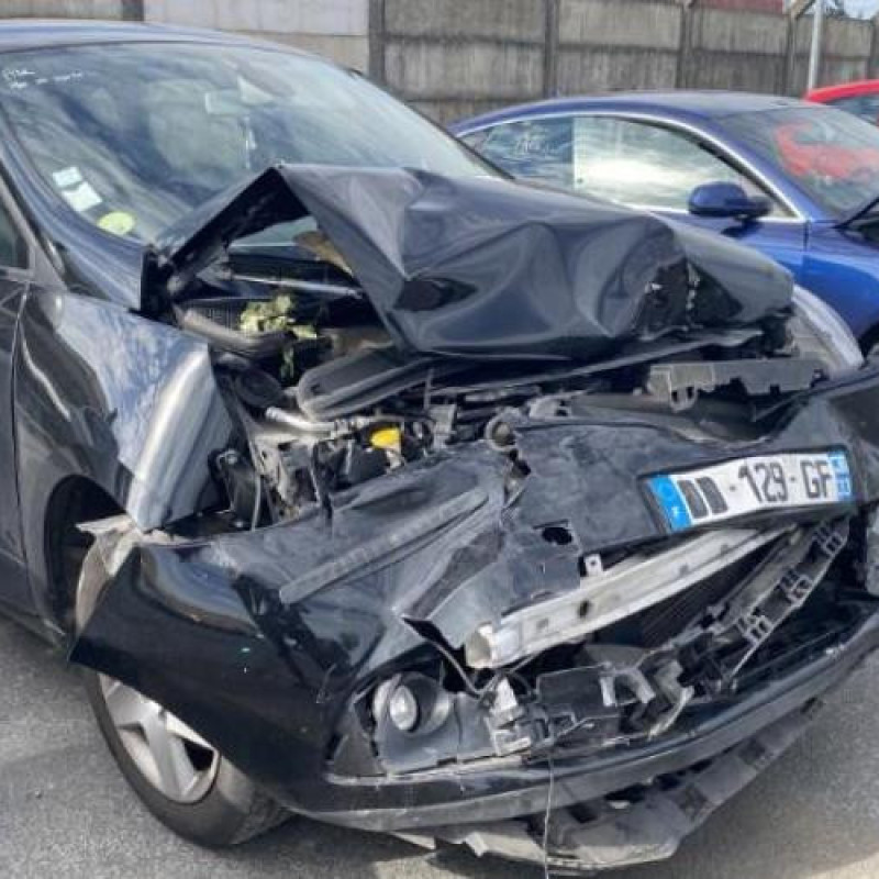 Etrier arriere droit (freinage) RENAULT SCENIC 3 Photo n°2