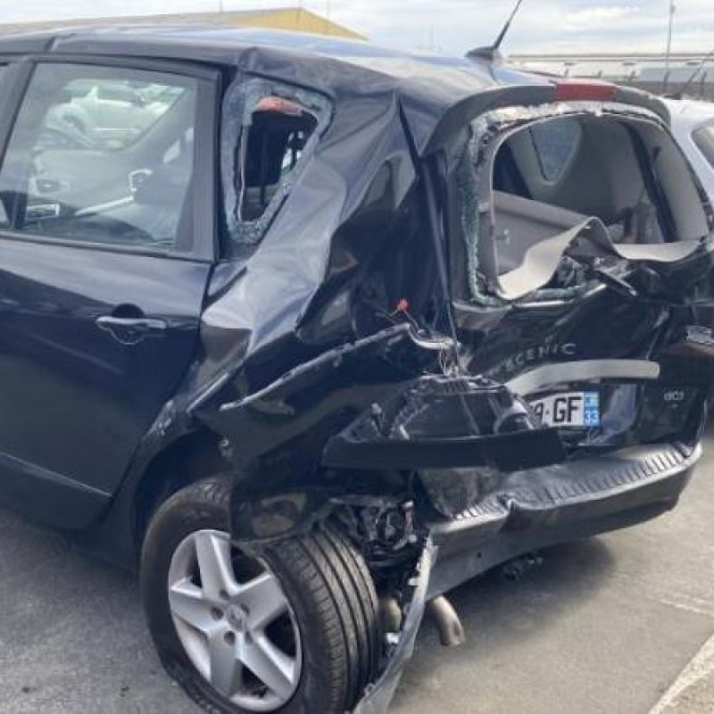 Etrier arriere droit (freinage) RENAULT SCENIC 3 Photo n°4