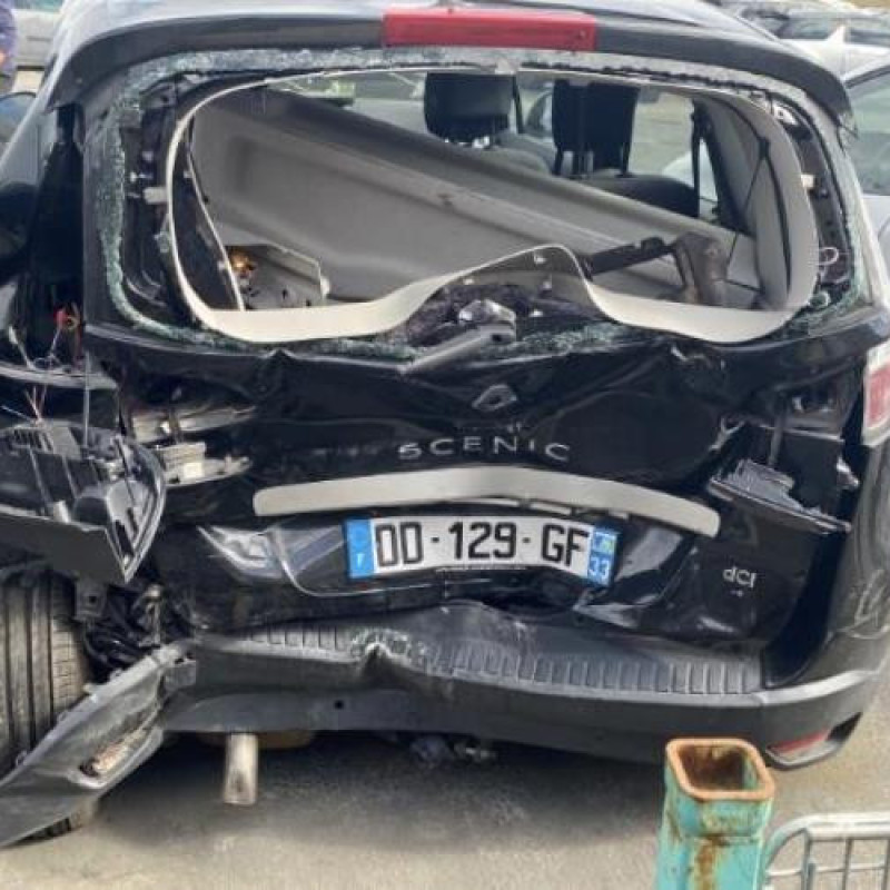 Etrier arriere droit (freinage) RENAULT SCENIC 3 Photo n°5