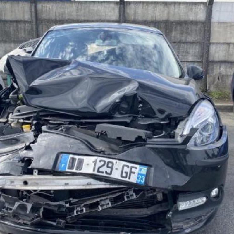 Etrier arriere droit (freinage) RENAULT SCENIC 3 Photo n°6