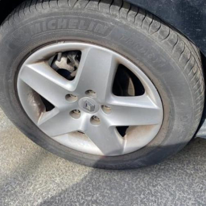Etrier arriere droit (freinage) RENAULT SCENIC 3 Photo n°16