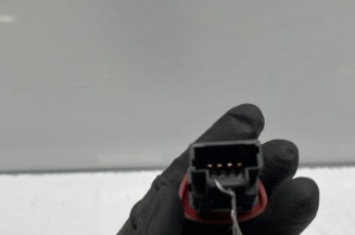 Bouton de warning RENAULT CLIO 2