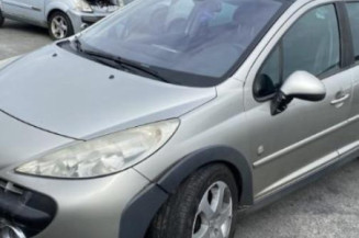 Extension d'aile arriere gauche PEUGEOT 207