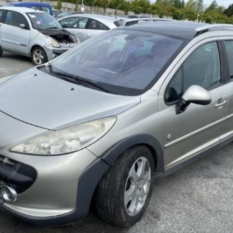 Extension d'aile arriere gauche PEUGEOT 207 Photo n°6
