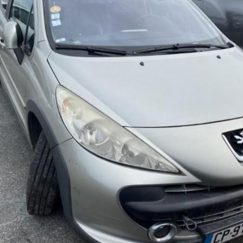 Extension d'aile arriere gauche PEUGEOT 207 Photo n°12