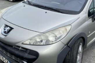 Extension d'aile arriere gauche PEUGEOT 207