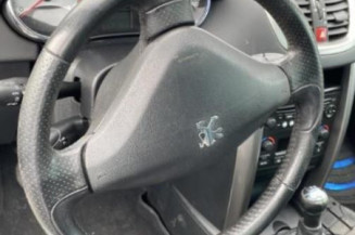 Extension d'aile arriere gauche PEUGEOT 207