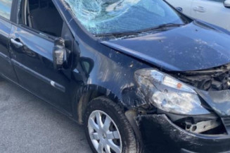 Eclairage de plaque RENAULT CLIO 3