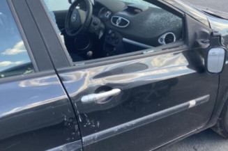 Eclairage de plaque RENAULT CLIO 3