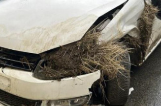 Jante VOLKSWAGEN POLO 5