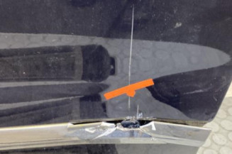 Porte avant gauche CITROEN C5 2