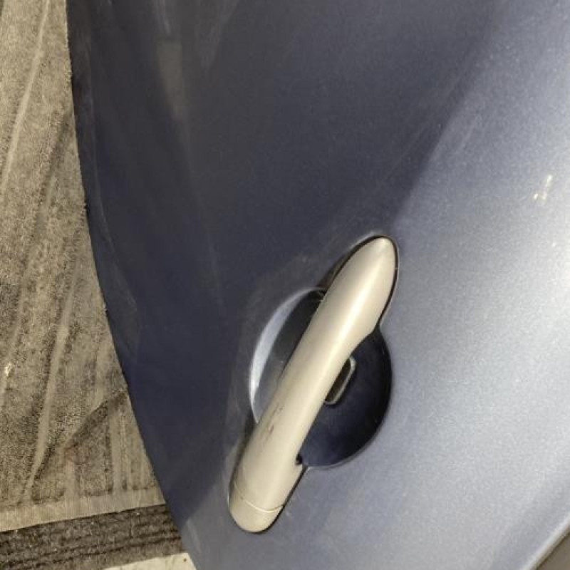 Porte arriere gauche RENAULT CLIO 3 Photo n°2