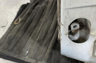 Porte arriere gauche RENAULT MEGANE 1