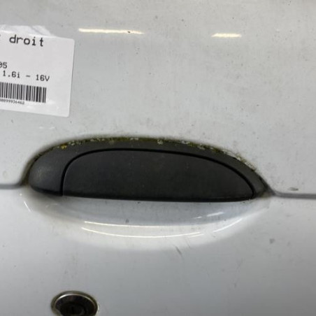 Porte avant droit RENAULT SCENIC 1