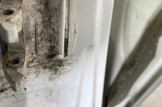 Porte avant droit RENAULT SCENIC 1