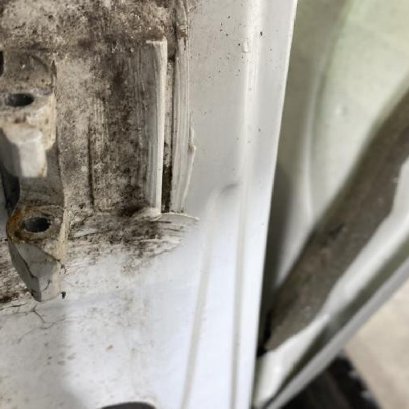 Porte avant droit RENAULT SCENIC 1 Photo n°5