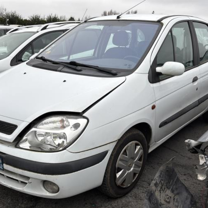 Porte avant droit RENAULT SCENIC 1 Photo n°8