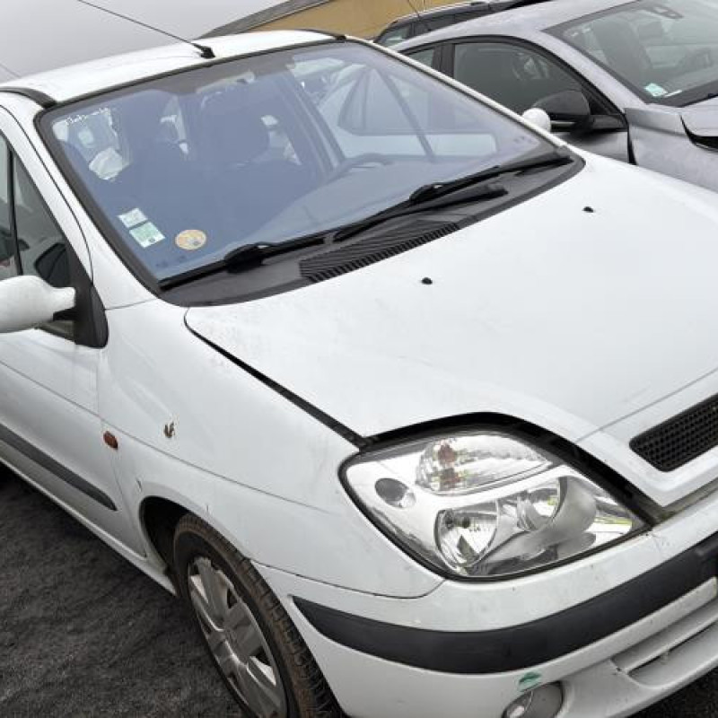 Porte avant droit RENAULT SCENIC 1 Photo n°9