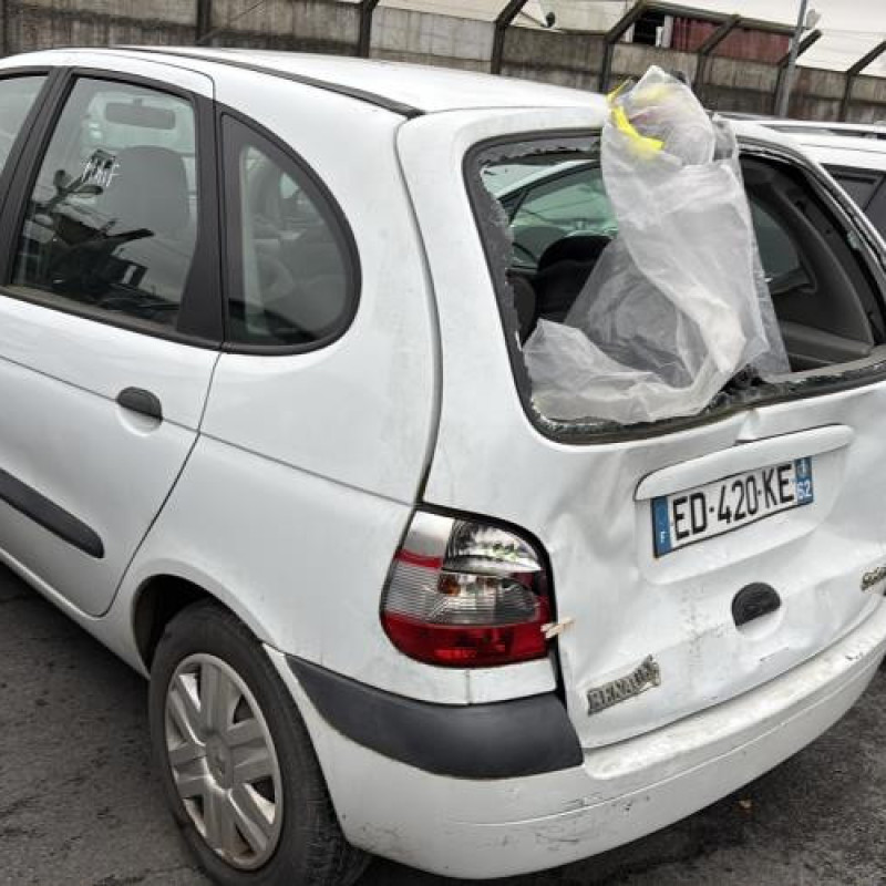 Porte avant droit RENAULT SCENIC 1 Photo n°11