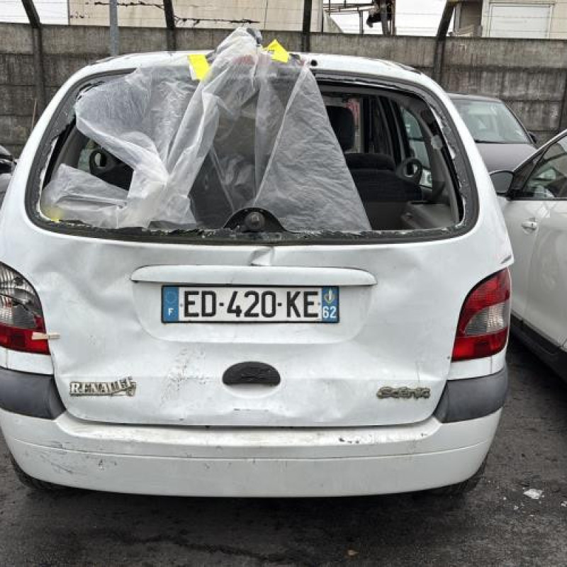 Porte avant droit RENAULT SCENIC 1 Photo n°12