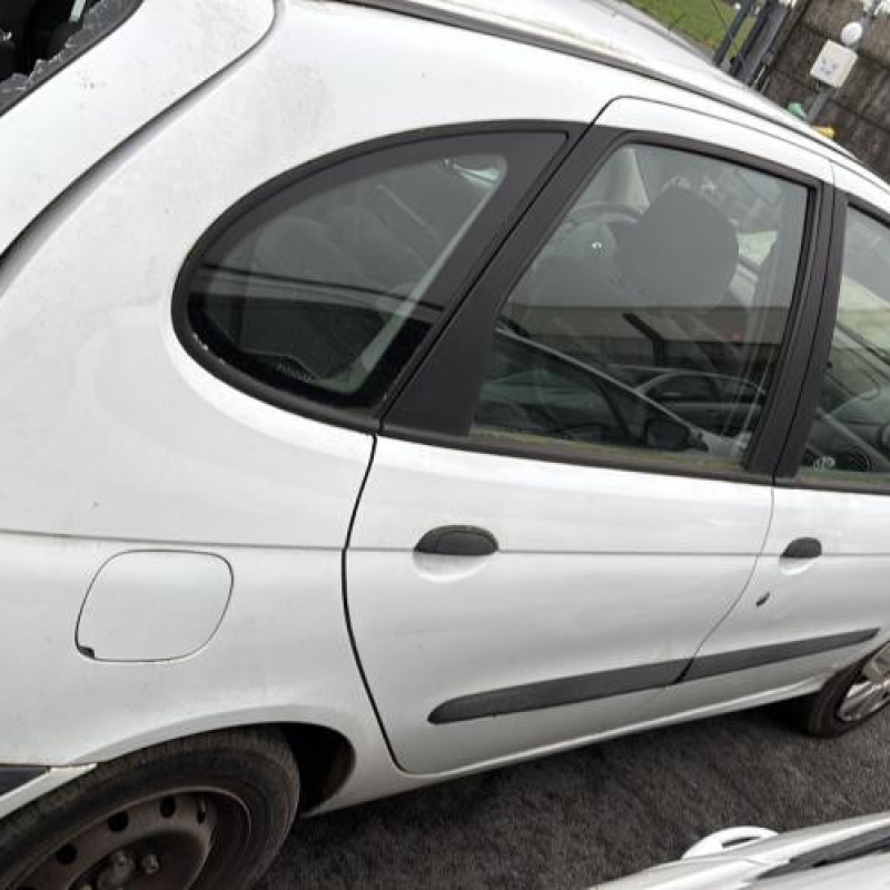 Porte avant droit RENAULT SCENIC 1 Photo n°13