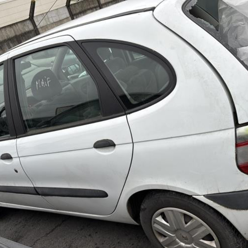 Porte avant droit RENAULT SCENIC 1 Photo n°14