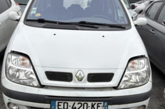 Porte avant droit RENAULT SCENIC 1