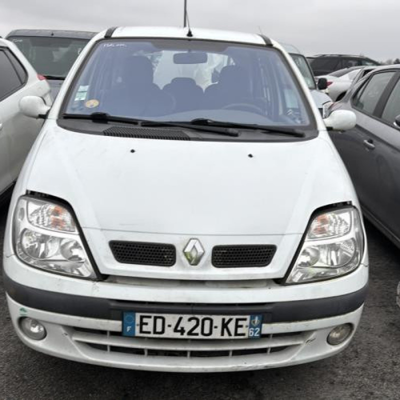 Porte avant droit RENAULT SCENIC 1 Photo n°15