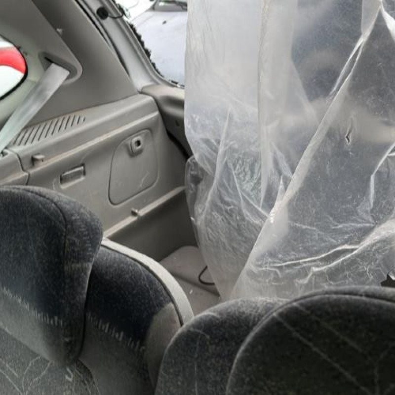 Porte avant droit RENAULT SCENIC 1 Photo n°18
