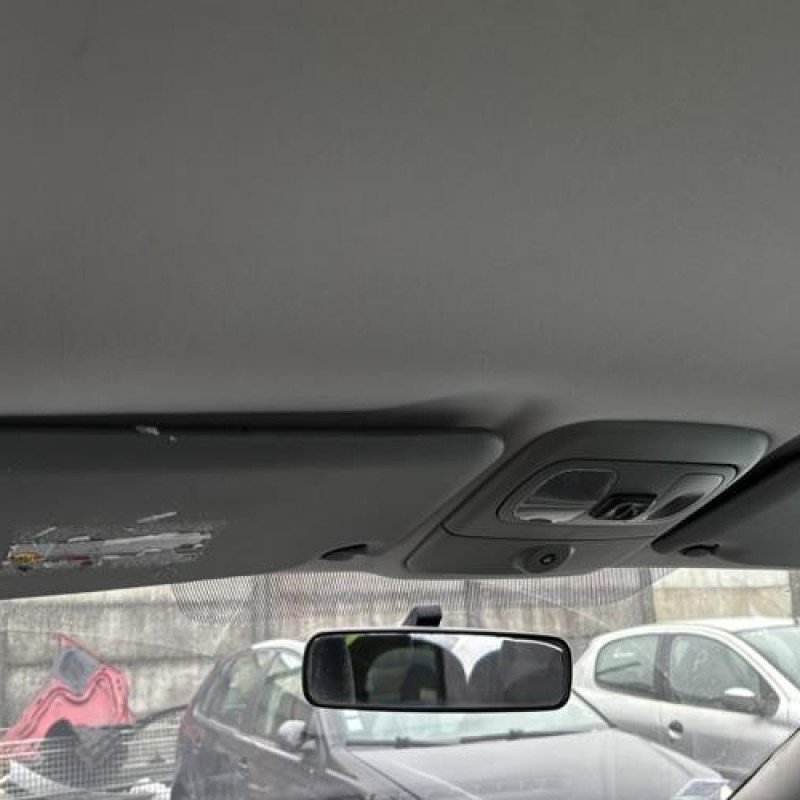Porte avant droit RENAULT SCENIC 1 Photo n°20