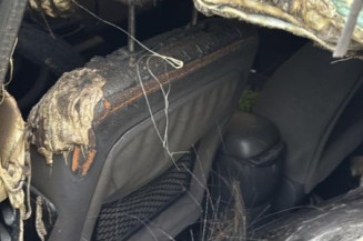 Porte avant droit CITROEN C4 1