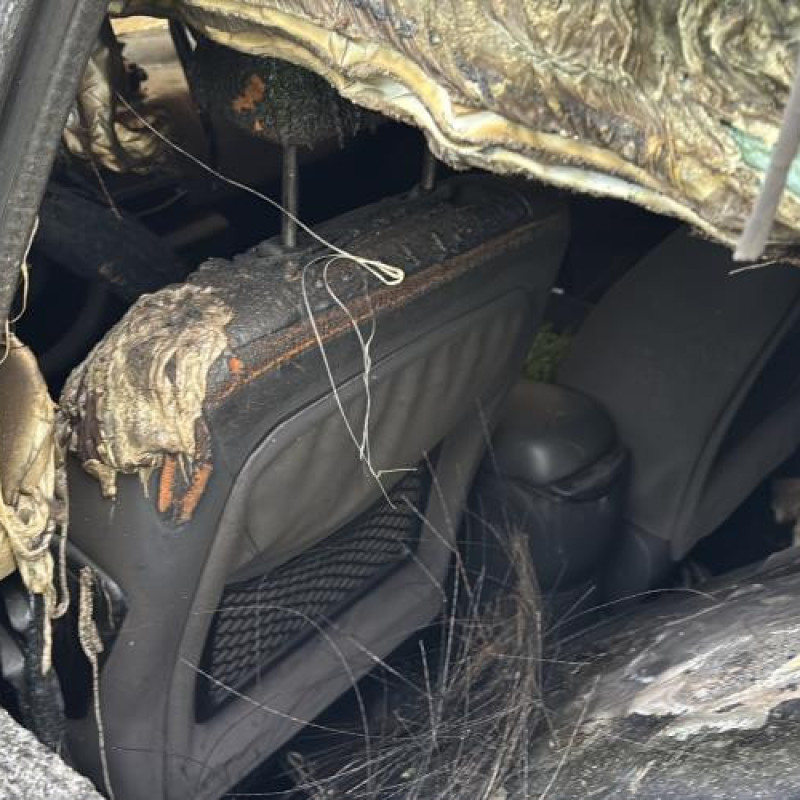 Porte avant droit CITROEN C4 1 Photo n°16