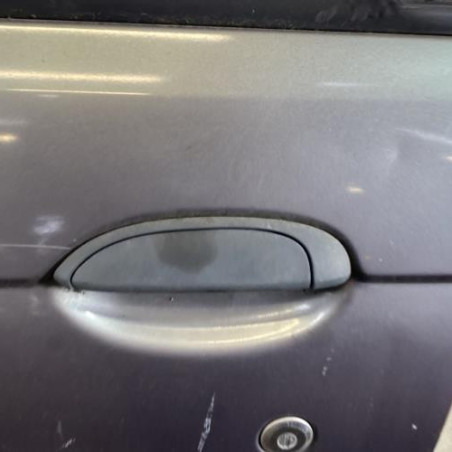 Porte avant gauche RENAULT SCENIC 1