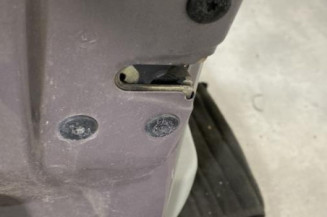 Porte avant gauche RENAULT SCENIC 1
