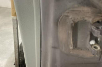 Porte avant gauche RENAULT SCENIC 1